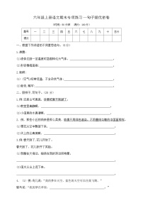 六年级上册语文期末专项练习—句子提优密卷  部编版   含答案