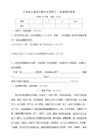 六年级上册语文期末专项练习—阅读提优密卷 部编版 含答案