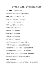 小学 语文 统编版五四制 五年级下册 第五单元 周测及答案