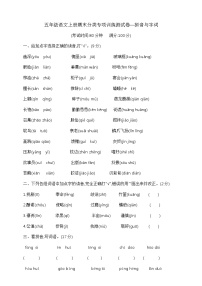 五年级语文上册期末分类专项训练测试卷—拼音与字词 部编版 含答案