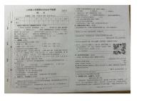 陕西省渭南市大荔县2025-2026学年三年级上学期期末语文试题