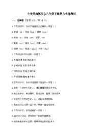 小学 语文 统编版 六年级下册 第六单元 测试及分析