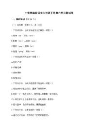 小学 语文 统编版 六年级下册 第六单元 测试卷及深度剖析
