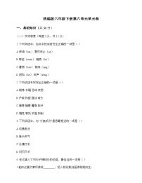 小学 语文  统编版 六年级下册 第六单元 单元卷及深度解析