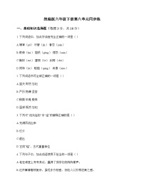小学 语文  统编版 六年级下册 第六单元 同步练及全面解读