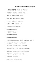 小学 语文  统编版 六年级下册 第六单元 同步练及深度剖析