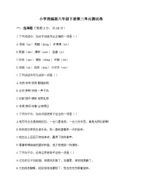 小学 语文 统编版 六年级下册 第三单元 测试卷及深度剖析