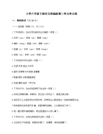 小学 语文  统编版 六年级下册 第三单元 单元卷及全面解析