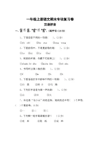 一、汉语拼音——2025-2026学年一年级上册语文期末专项复习卷(统编版)(含答案)