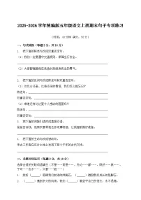 2025-2026学年统编版五年级语文上册期末句子专项练习