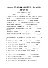 2025-2026学年度统编版六年级上册语文期末专项练习看拼音写词语