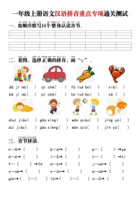一年级语文上学期——汉语拼音重点专题通关测试卷（含答案）
