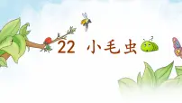 小学语文统编版（2024）二年级下册小毛虫教学ppt课件