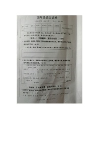 安徽省安庆市区2025-2026学年第一学期四年级语文期末试卷（含答案）