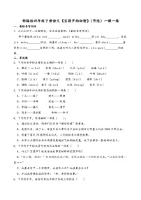 小学语文统编版（2024）四年级下册宝葫芦的秘密优秀达标测试