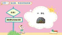 小学语文统编版（2024）三年级上册（2024）9* 犟龟教学设计