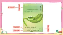 语文统编版（2024）20 古诗三首教案