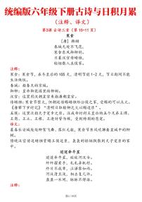 人教版六下语文古诗与日积月累（注释、译文）练习（无答案）