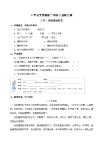 三年级下册（2024）习作 我的植物朋友优秀当堂检测题