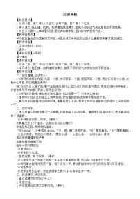二年级下册（2024）12 画杨桃教学设计