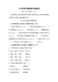 统编版小升初语文素养提升模拟卷（含答案）