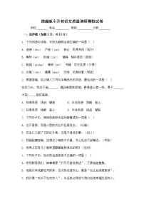 统编版小升初语文质量调研模拟试卷（含答案）
