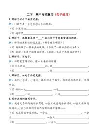 统编版二年级语文下册【期中复习资料】学案
