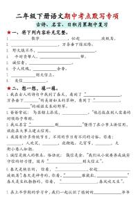 统编版二年级语文下册期中古诗名言默写专项练习