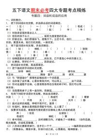 统编版五年级语文下册【期末必考四大专题考点精炼（专题四：词语和成语运用）】练习及答案