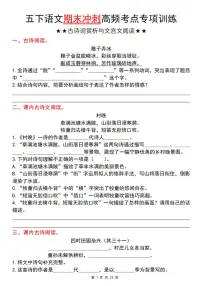 统编版五年级语文下册【期末冲刺高频考点专项训练（古诗词赏析与文言文阅读）】练习及答案