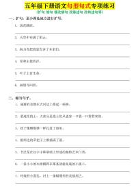 统编版五年级语文下册【期末专项复习-句子专项练习练习及答案