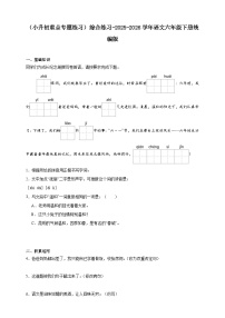 （小升初重点专题练习）统编版2025-2026学年语文六年级下册综合练习-（含答案）