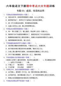 【期中复习专题03：成语、俗语的运用】练习及答案统编版六年级语文下册
