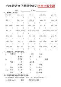 【期中复习字音字形专题】练习及答案统编版六年级语文下册