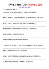 【期中句子专项训练】练习及答案统编版六年级语文下册