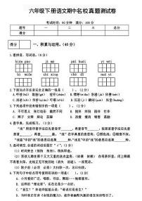 【期中名校真题测试卷】练习及答案统编版六年级语文下册