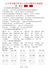 期中常考七大专项训练练习及答案统编版六年级语文下册