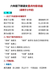 【重点内容总结（适用于小升初）】学案统编版六年级语文下册
