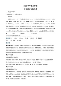 广东省广州市白云区统编版五年级下册期中考试语文试卷（解析版）-A4