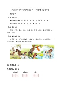 小学语文统编版（2024）二年级下册（2024）第五单元・阅读13 小马过河精品精练
