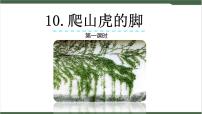 小学语文人教部编版四年级上册10 爬山虎的脚精品课件ppt