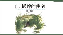 人教部编版四年级上册11 蟋蟀的住宅完美版ppt课件