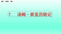 人教部编版六年级下册第二单元7* 汤姆·索亚历险记（节选）教学演示ppt课件