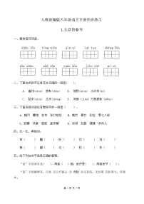 小学语文人教部编版六年级下册1 北京的春节精品课后练习题