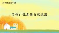 小学语文人教部编版六年级下册习作：让真情自然流露优秀课件ppt