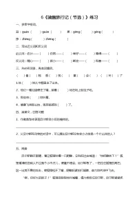 人教部编版六年级下册6* 骑鹅旅行记（节选）习题