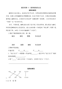 语文二年级上册3 植物妈妈有办法精练