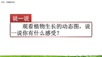 小学语文人教部编版四年级上册第三单元习作：写观察日记优秀课件ppt