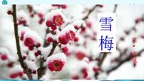 人教部编版四年级上册雪梅一等奖课件ppt