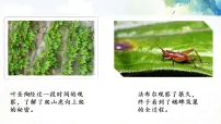 人教部编版四年级上册第三单元习作：写观察日记优秀ppt课件
